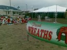 s621176966 1665578 8412