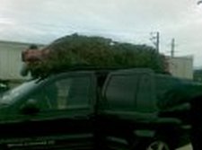 s621176966 1665615 1500