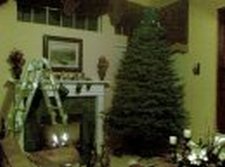 s621176966 1667454 9321